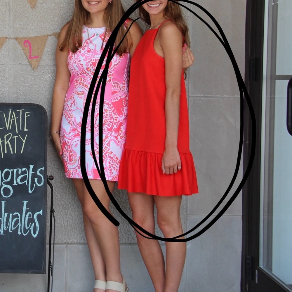 Zara Dress